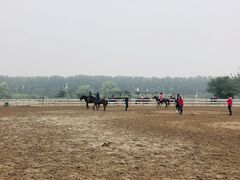 -月河湾马术俱乐部(朝阳店)