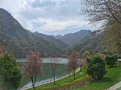 -秦岭终南山世界地质公园翠华山景区