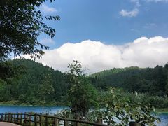 -武陵山森林公园