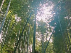 -山沟沟景区