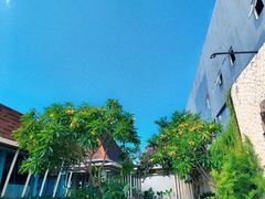 -巴厘岛黄金金兔咖啡工厂