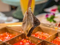-蜀九香火锅(彩虹店)