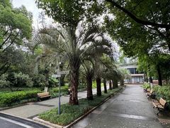 -苏州河梦清园环保主题公园