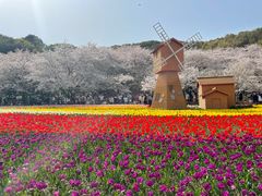 -苏州上方山国家森林公园