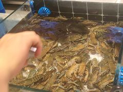 -川骄海鲜自助(亚运村店)
