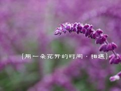 android_upload_pic-香港城市花园酒店