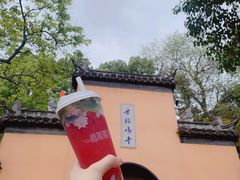 -鸡鸣赐茶(鸡鸣寺路店)