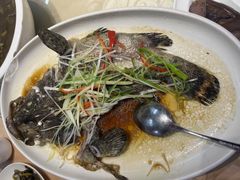 -百年银屏蚝烙·潮汕菜·非遗(乐山店)
