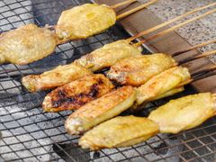 -吴淞炮台湾湿地森林公园烧烤区