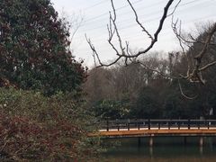 -八卦田遗址公园