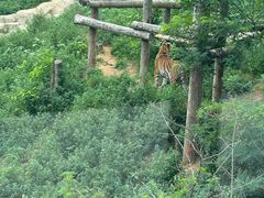 -大连森林动物园