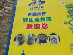 -青藏高原野生动物园