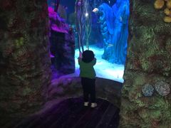 -沈阳海洋探索中心