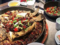 -老板恋上鱼(恒隆广场店)