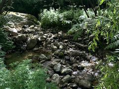 -牛背梁国家森林公园
