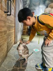 -Zoolung Zoolung动物主题公园(海信广场店)