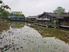 -莫催咖啡