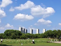 -滆湖低碳生态公园