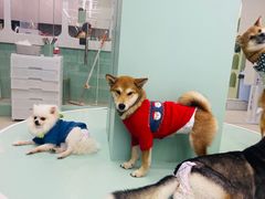 -怪兽屋·羊驼·猫咖·狗咖(俊华广场店)