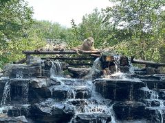 -北京野生动物园