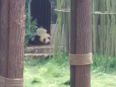 android_upload_pic-南昌动物园