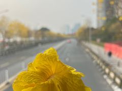 -洲头咀公园