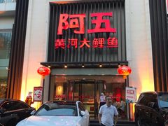 -阿五黄河大鲤鱼(英协路店)