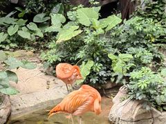 -长鹿旅游休博园