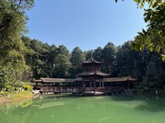 -铁山坪森林公园