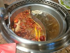 奔驰鸳鸯锅-小龙坎老火锅(北京三里屯店)