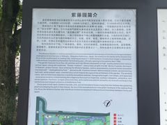 -嘉定紫藤园