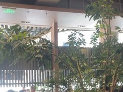 -gaga(深圳福田星河COCO Park店)