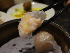 虾饺-糖朝(尖沙咀店)