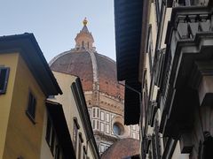 -圣母百花大教堂穹顶