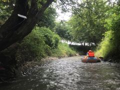 -天目湖松岭竹海漂流