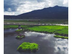 -腾冲北海湿地
