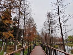 -映月湖公园