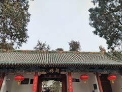 -关林