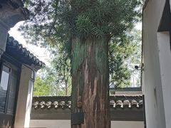 -徐霞客故居