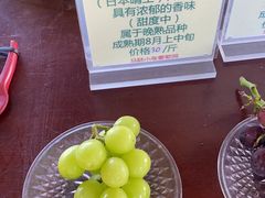 -马陆小张葡萄园农家乐