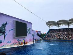 -北戴河圣蓝海洋公园