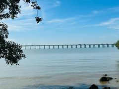 -宝安西湾红树林湿地公园