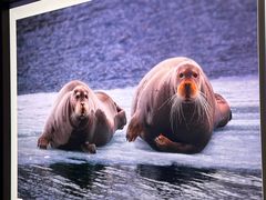 -罗红摄影艺术馆