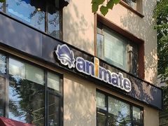 -animate(北京店)