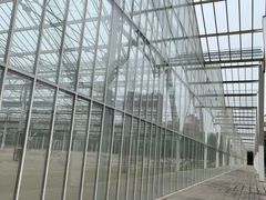 -东升八家郊野公园