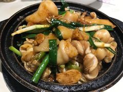 薑蔥魚卜煲-金城小厨