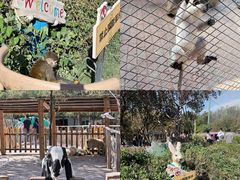 -水上乐园·欢乐世界