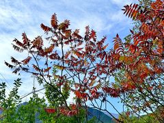 -玉渡山自然风景区