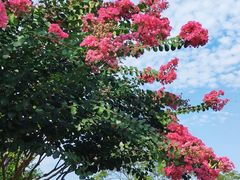 -奉浦四季生态园