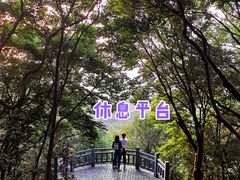 -紫金山山顶公园